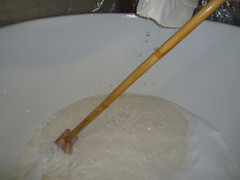20101028 004.jpg